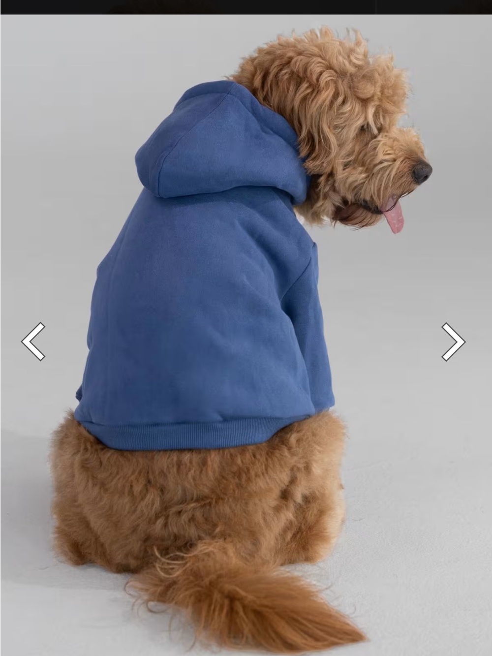 Blue Dog Hoodie Sweatshirt - Comfortable Pullover for Pets - Comfrt Size Large - Picture 3 of 11